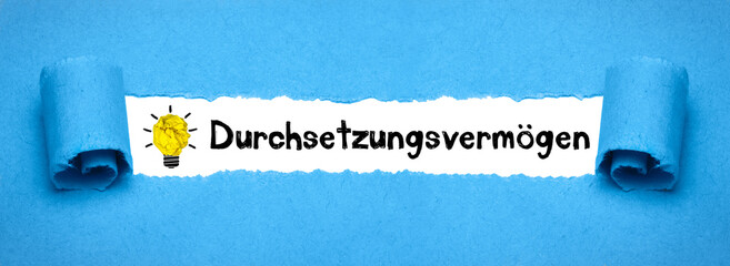 Durchsetzungsvermögen