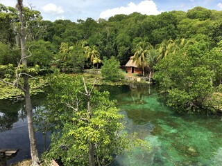Obraz premium Point d'eau au milieu de la jungle du Parque Pétènes naturelles au Mexique