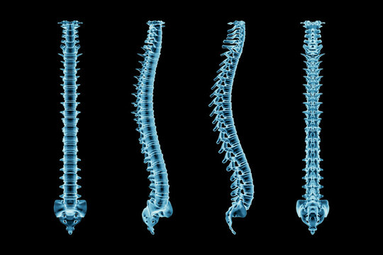 X-Ray human spinal column or backbone or spine from various angles isolated on black background 3D render illustration. Medical and anatomy imagery.