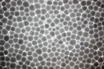  closeup of white smooth texture polystyrene foam plastic of cell pattern balls