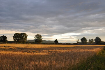 Naklejka premium Landschaft zur blauen Stunde
