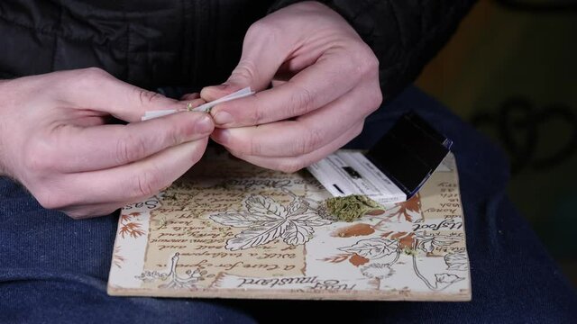 Hands shaping weed into a blunt using rolling paper.