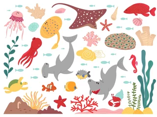 Papier Peint photo Sous la mer Vie marine de dessin animé. Animal du monde marin, objets de plantes de poissons sous-marins. Requin de la faune sauvage de l& 39 océan, personnages vectoriels décents d& 39 aquarium plat. Illustration aquarium marin sous-marin avec algues et faune