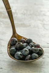 Fresh blueberry in metal spoon isolated