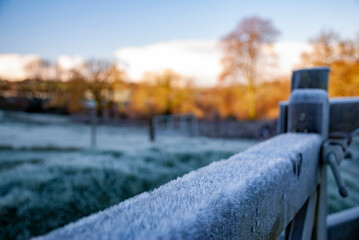 Close up on Winter frosty morning with shallow depth of field and sunrise