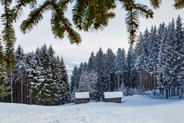 Winter - Allgäu - Stadel - Weihnachten - Tannenzweige