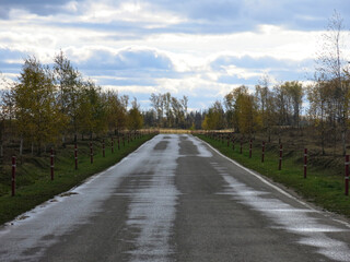 Fototapeta na wymiar asphalt road with a wet surface in the province in autumn