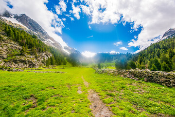 Fototapeta na wymiar Beautifull nature in National Park Possets y Maladeta, Pyrenees, Spain. ,located above Benasque valley, near the town of Benasque in Huesca province, in the north of Aragon