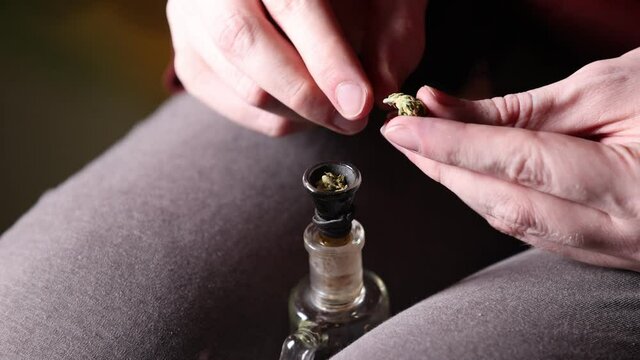 Hands shredding marijuana bud in slow motion over a bowl