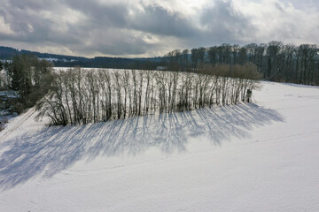 Bird's eye view of a row of trees casting shadows on a snow-covered meadow in Taunus / Germany