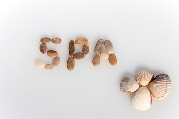 Sea pebble lettering: SPA. Marine background with seashells.