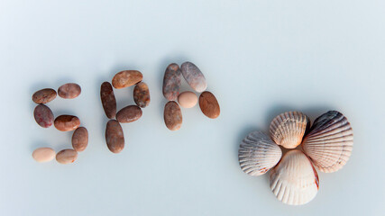 Sea pebble lettering: SPA. Marine background with seashells.