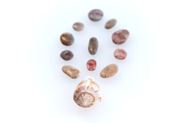 Fototapeta na wymiar Seashell and pebbles on a white background.
