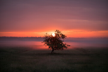sunset on the lake © Sieku Photo