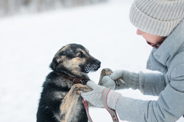 Caucasian woman holding mixed colours mongrel dog puppy in winter outdoor - Powered by Adobe