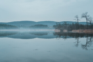 Foggy Pond