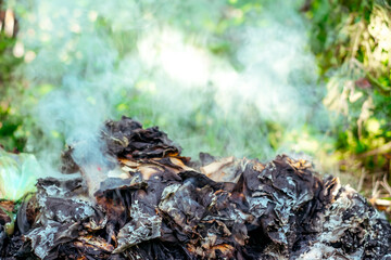 paper fire in nature