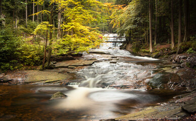 Obraz premium waterfall in the forest