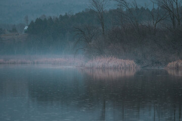 Obraz na płótnie Canvas Foggy Pond