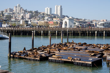Fototapeta na wymiar San Francisco, Pier 33