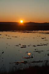 Paddy fields which the sun of the dawn is reflected in Spain