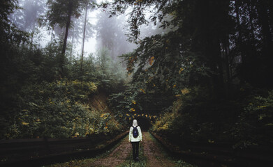 walking in the woods © Sieku Photo