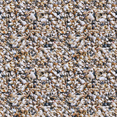 Shells on the sea coast after the storm, background, square seamless texture closeup, pattern