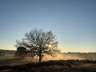 Westruper Heide