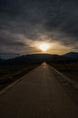 夕陽で光る農道