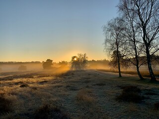 Westruper Heide