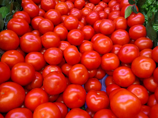 New harvest bright red tomatoes at the supermarket, food economy and vegetable prices in the...