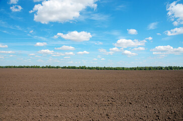Summer rural landscape with blue sky with beautiful clouds over the  plowed field