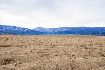 塩尻市　火山灰土の冬の畑
