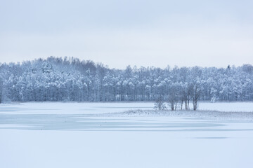 winter lanscape in january 2021