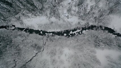 Ruisseau enneig&eacute;