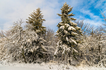 Beskydy v zimě, Pustevny, Radoho&scaron;ť