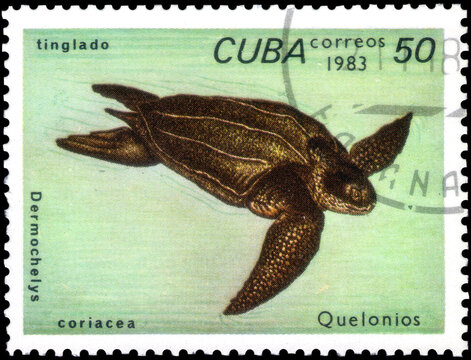 Postage stamp issued in the Cuba the image of the Leatherback Sea Turtle, Dermochelys coriacea. From the series on Turtles, circa 1983