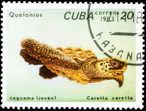 Postage stamp issued in the Cuba the image of the Loggerhead, Caretta caretta. From the series on Turtles, circa 1983