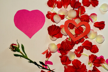 Happy valentine's day greeting card. Flowers, petals and heart symbols.