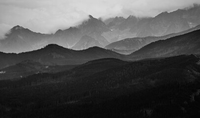 landscape with fog © Sieku Photo