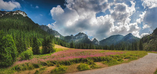 landscape in the mountains