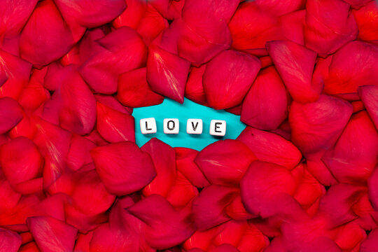 The word love on the background of rose petals . Valentine's Day. Background concept of love and beauty