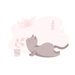 Cute cat doing yoga