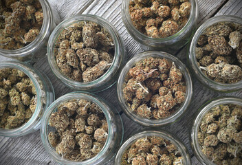 Dry and trimmed cannabis buds stored in a glas jars