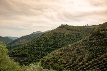 Landscape of huge mountains with cloudy skies