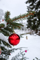 Fototapeta na wymiar Red colorful christmas ball on fir tree branch with rural background