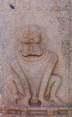 Hampi, Karnataka, India - November 4, 2013: Hazara Rama Temple. Closeup of brown stone mural sculpture of lion with erect penis.