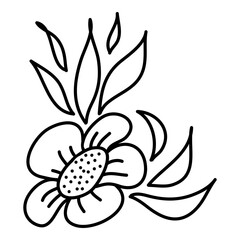 Doodle flower with leaves, corner design element hand drawn vector