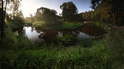 Obraz premium river in the forest