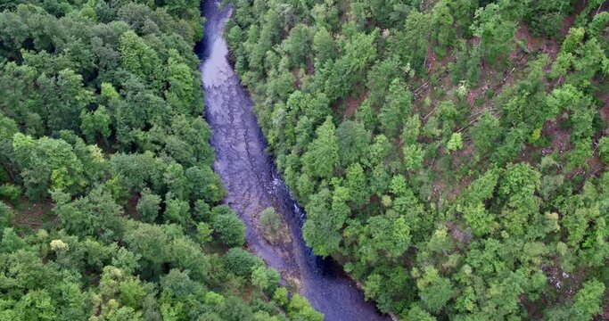 Aerial view of the Kolpa (Kupa) River in its canyon